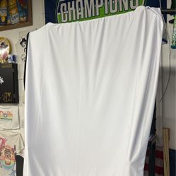 Projector Screen 
