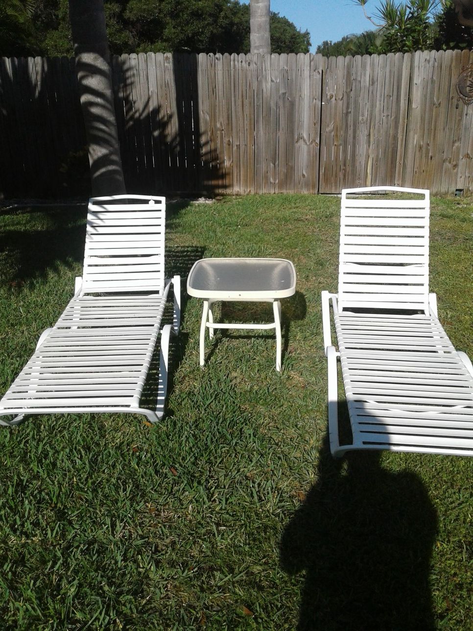 2 pool lounge chairs