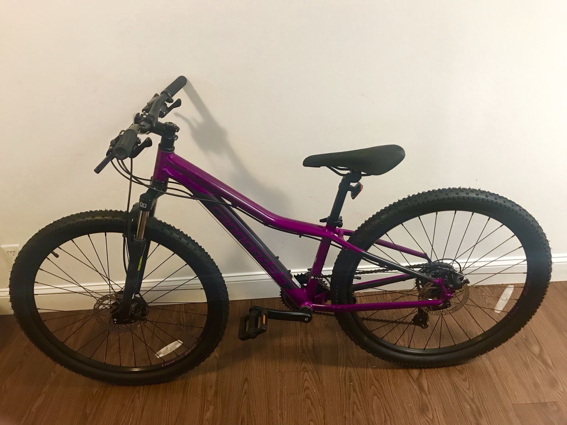 Foray best sale 3 cannondale