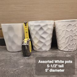 Assorted Orchid/ Flower Pots