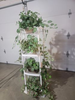 Metal plant holder