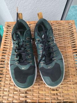 MICHIGAN STATE SPARTANS  NIKE Green Training Flywire Sneaker Shoes Sz 9