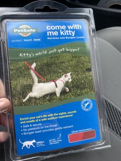 Small cat harness