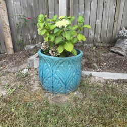 Clay Flower Pots 