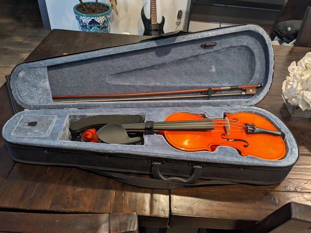Violin Beginner Child-Sized
