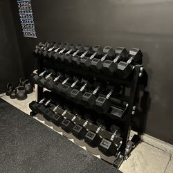 5-75lbs Dumbbells w/Rack 