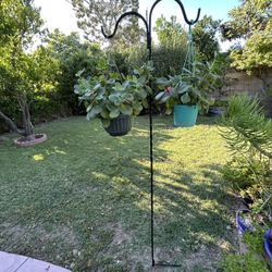 Freestanding plan stand