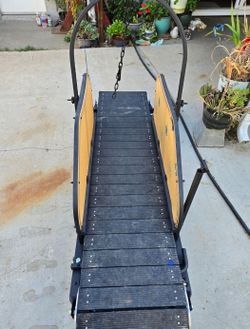 Large Dog Treadmill
