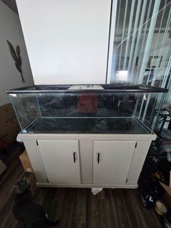50 Gallon Fish Tank (NO STAND)