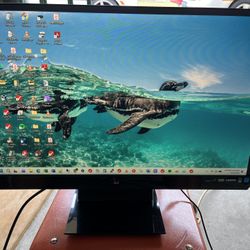Dell 24 Inches Monitor 