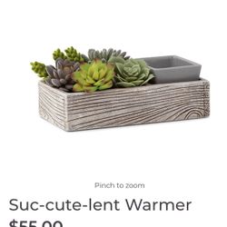 New Scentsy Succulent Warmer