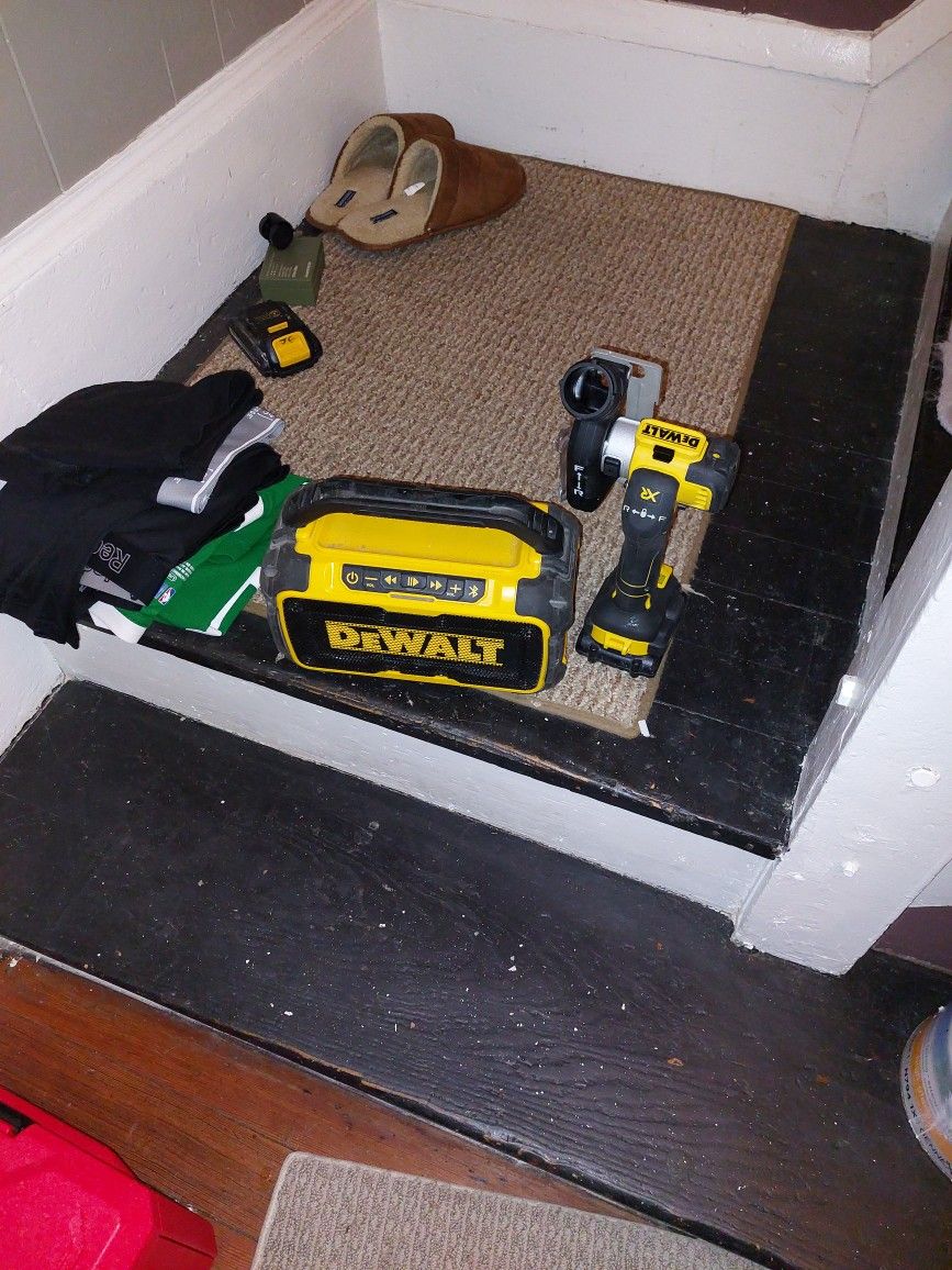 Dewalt Radio Xr SAW 