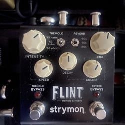 Strymon FLINT - v1 