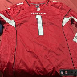 NFL Cardinals 