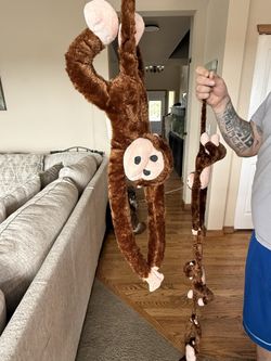 Monkey And Zoo Animals