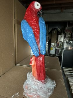 Parrot  Birds Statue 
