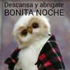 Chely