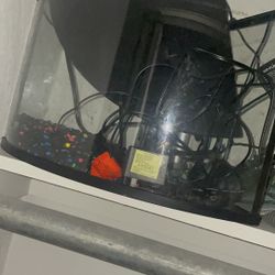 Small Fish Tank With Filter & Gravel