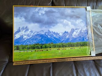 Framed picture