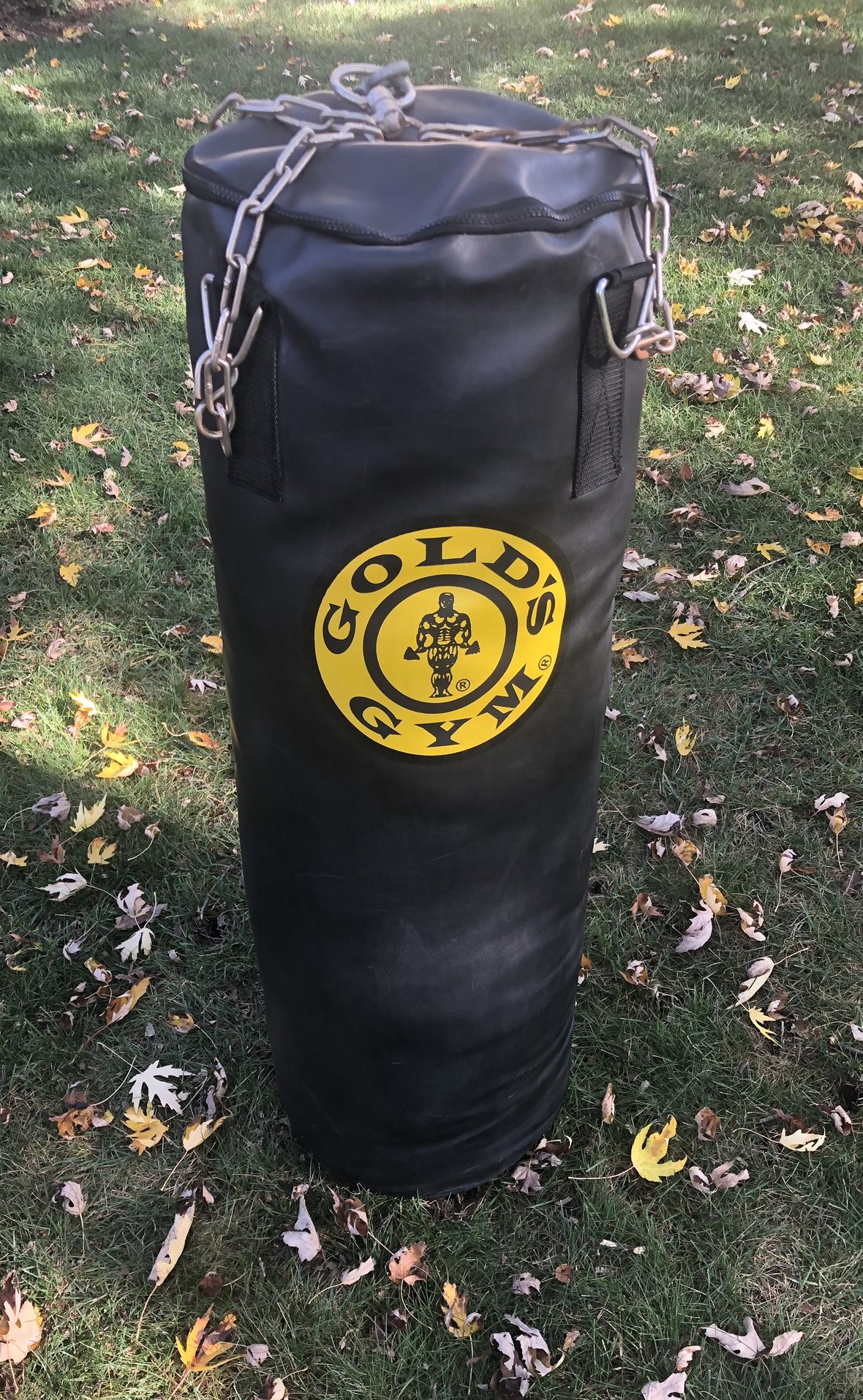 Golds Gym Heavy Bag 90 lb