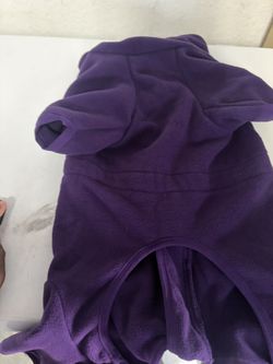Purple Dog Sweaters 