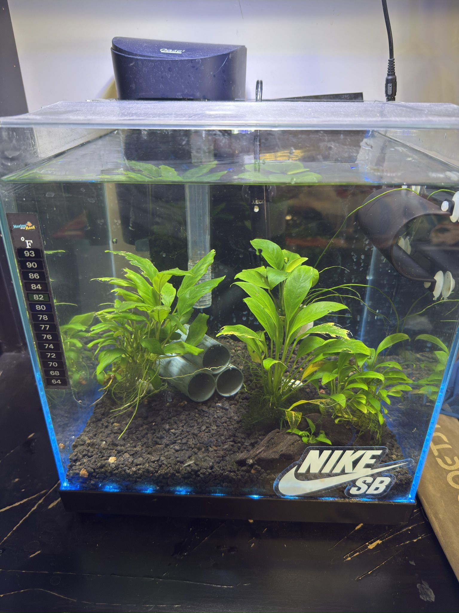 8gal Aquarium