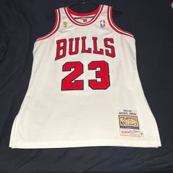 Mitchell And Ness Bulls 96 Jordan Jersey Sz 40 (medium)
