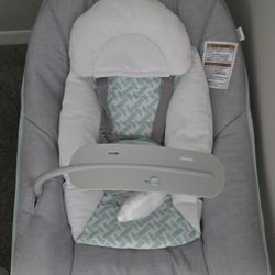 Baby Bouncer 