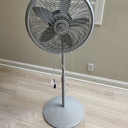 Fan