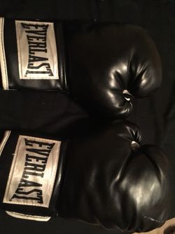 Everlast Boxing Gloves