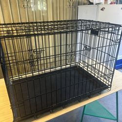 Medium Cage 