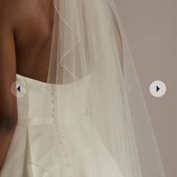 David’s Bridal Veil (Never Worn)