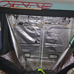 8 Ft X 6 Ft Growing Tent