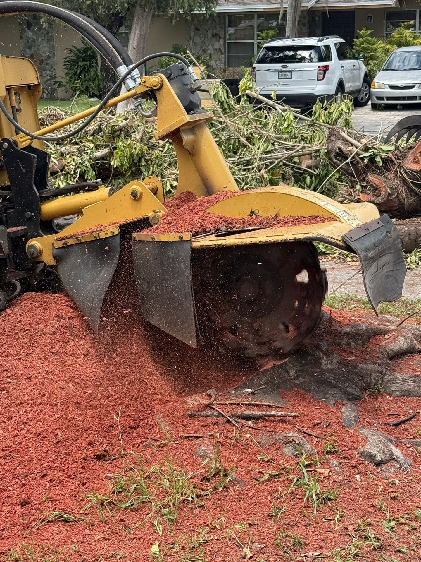 Stumps Grinding Molemos Troncos Y Raises