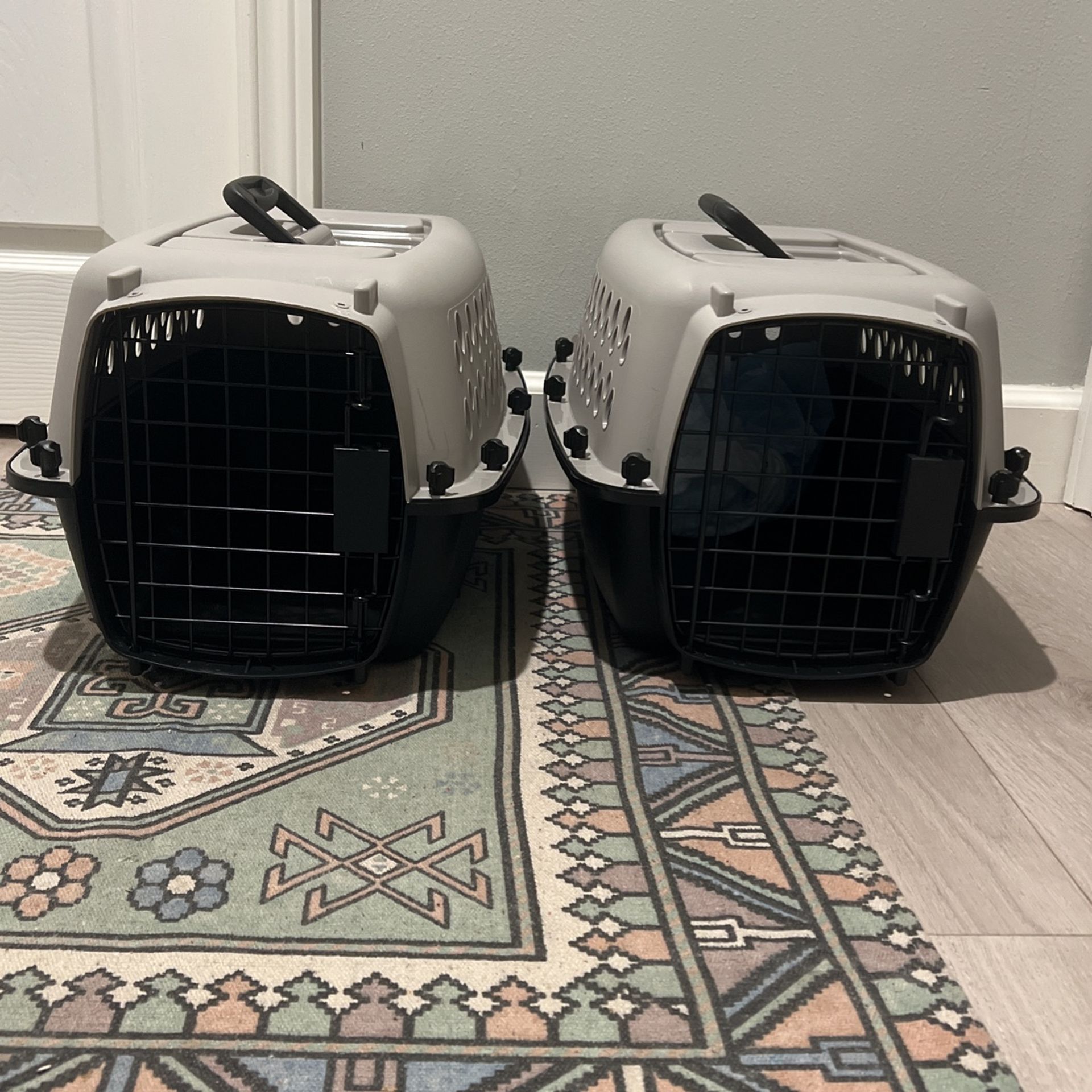 Small Pet Carrier 
