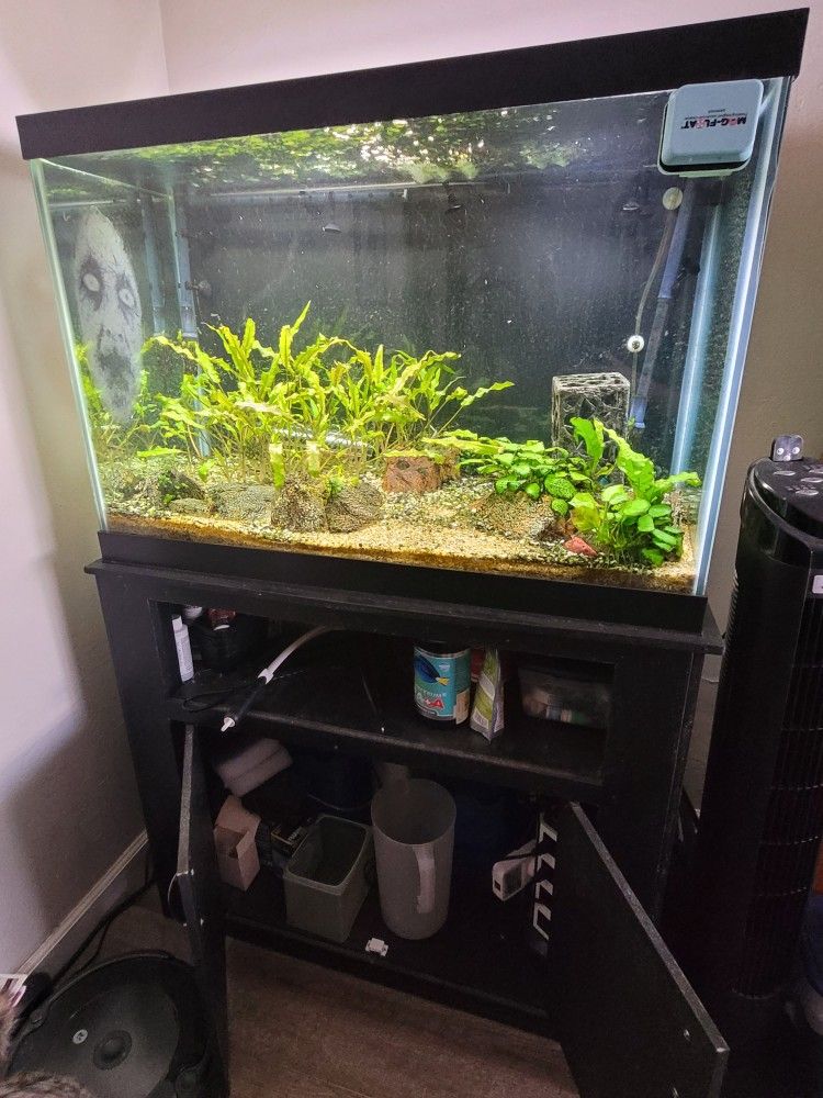 Fish Tank and Aquarium Stand