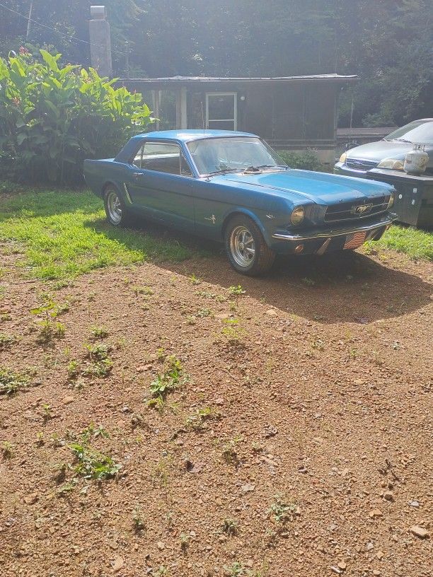64 1/2 Mustang 