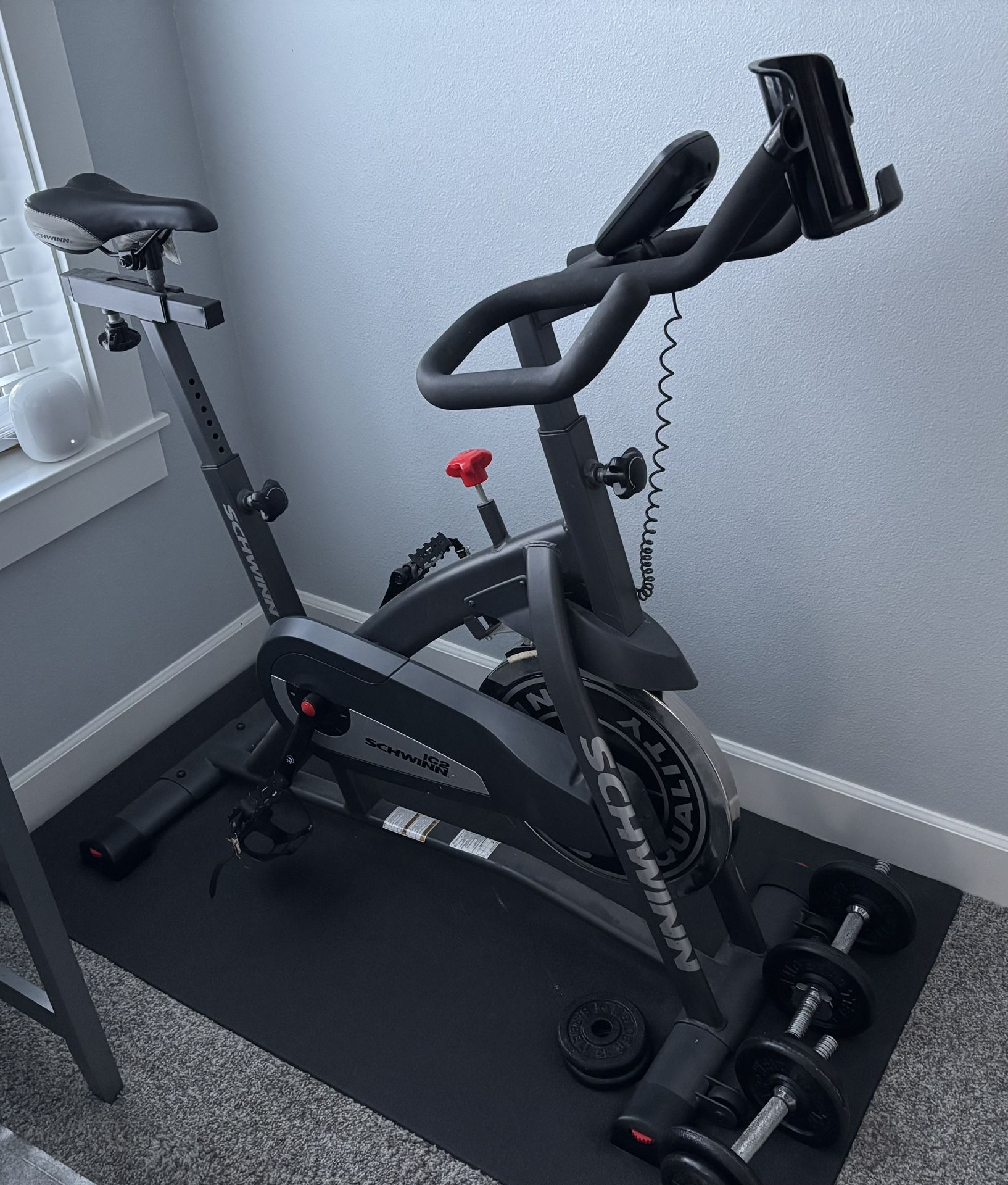 Schwinn IC2 Indoor Bike