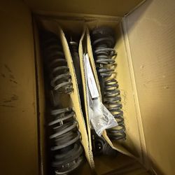 BMW Shocks/Struts
