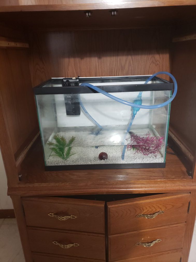 Fish tank 13*24 inches