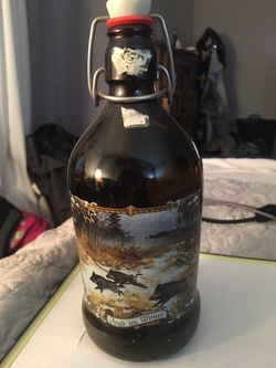 Beer stein - best offer