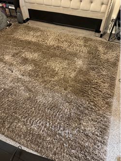 Shag Rug Gray/Brown