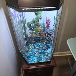 Aquarium 25 gallons