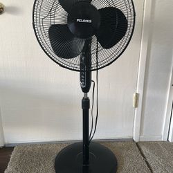 Standing Fan