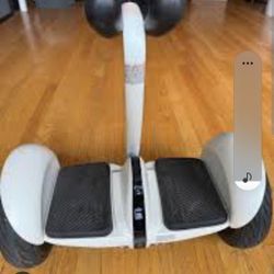 Segway Ninebot s Plus 