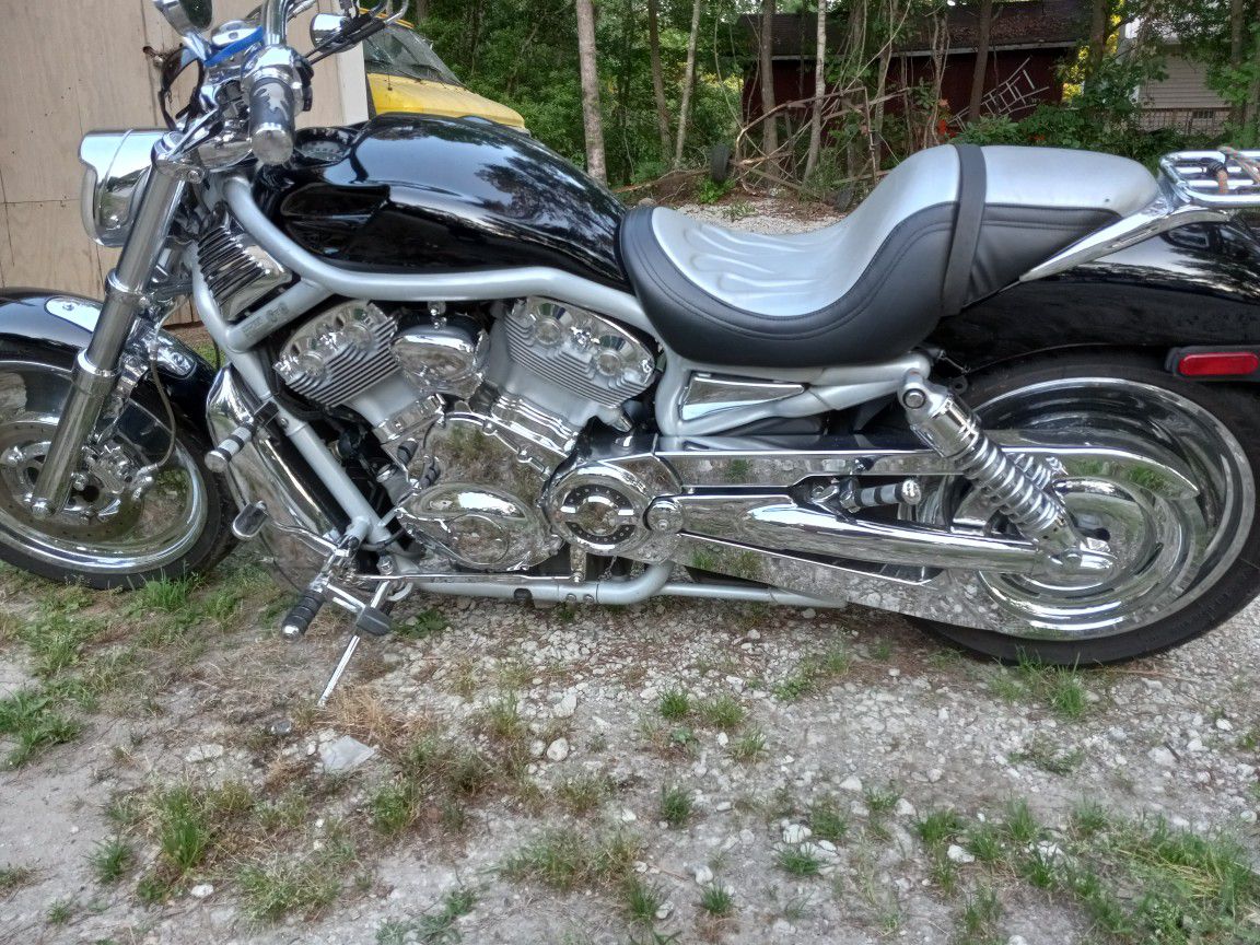 Photo V RoD 2000, Harley Davidson