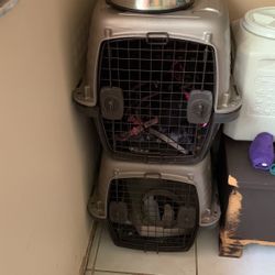 Pet Crate (2)