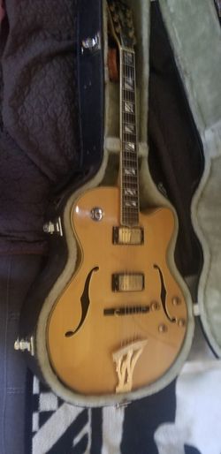 Washburne hollow body 6 string J series