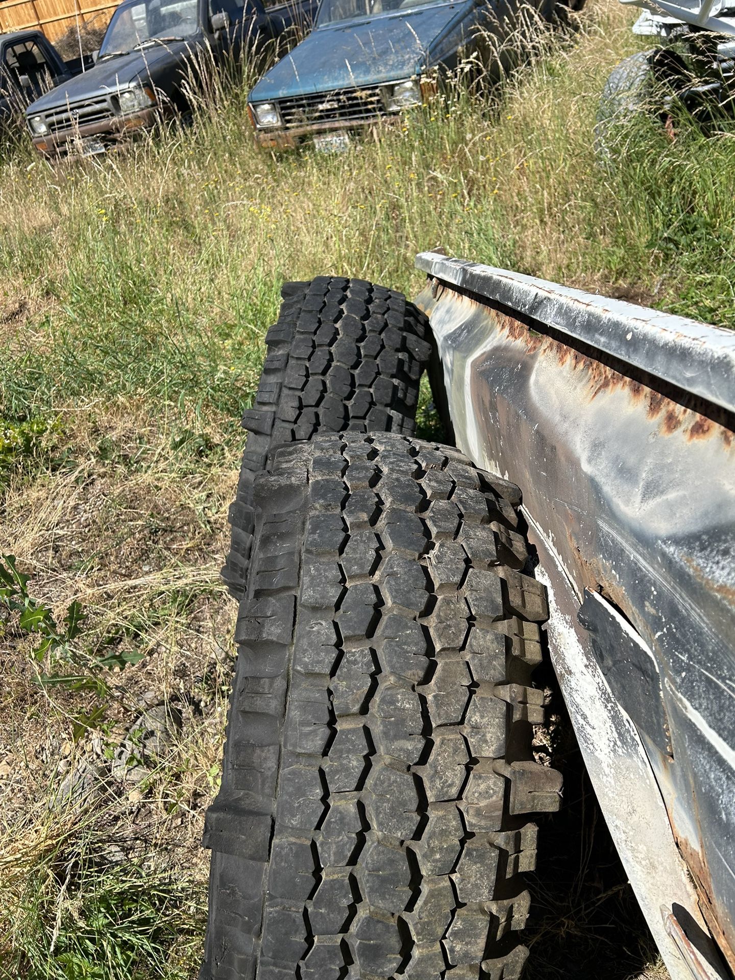 33x12.50r15 Thorn Birds