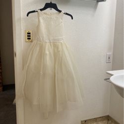 Flower Girl Dress 